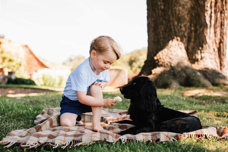Prince George and his pup