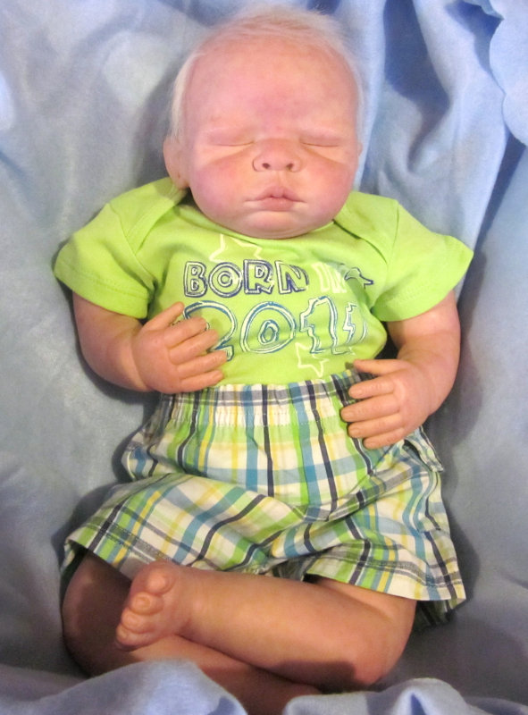 Karen Valtin of Blue Fairy Babies created this finished version of Pork Chop.