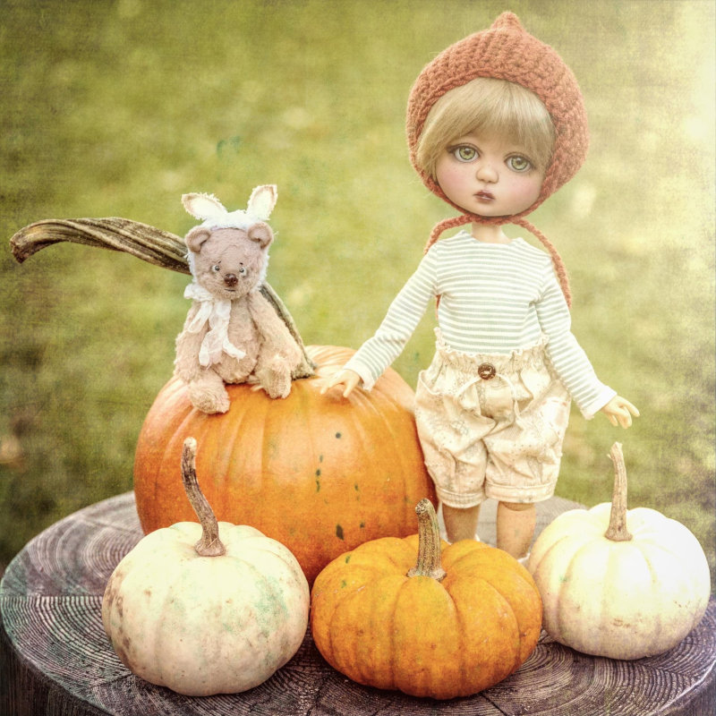 MaryJane Killinger: “Marigold by Forever Virginia has brought along her favorite bear to the pumpkin patch. They came back with quite a haul! Marigold is dressed in a Forever Virginia original.”