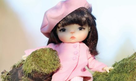 Meet Makki: Meadow Dolls’ new BJD Available Exclusively From DOLLS