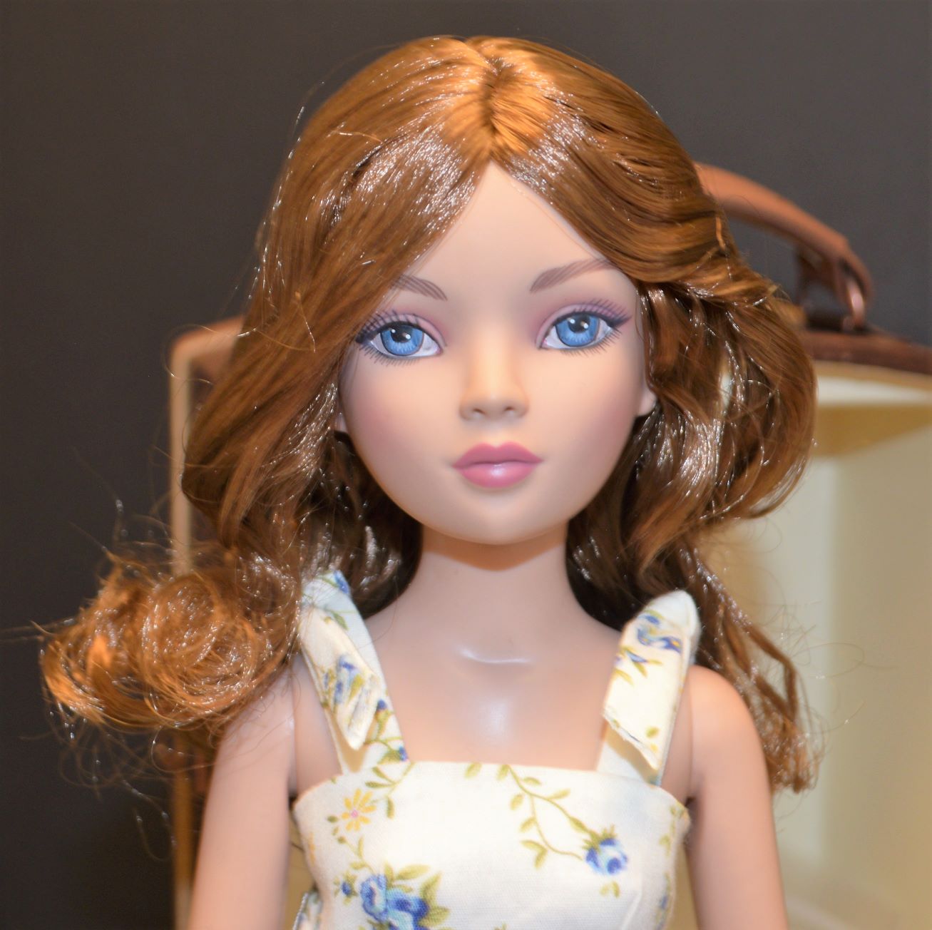 Central Penn Doll Collectors Club Doll Show