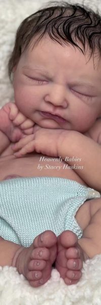 Heavenly Babies by Stacey Haskins